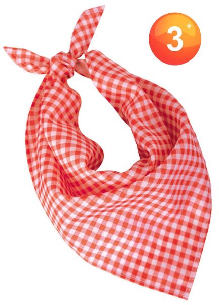 Oktoberfest halsdoekje rood wit geruit